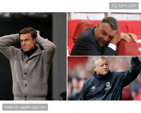 2018年英超降级球队的原因与反思 2018年英超降级球队的原因与反思